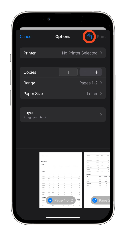 Invoice Mobile App - How to create a report - 4