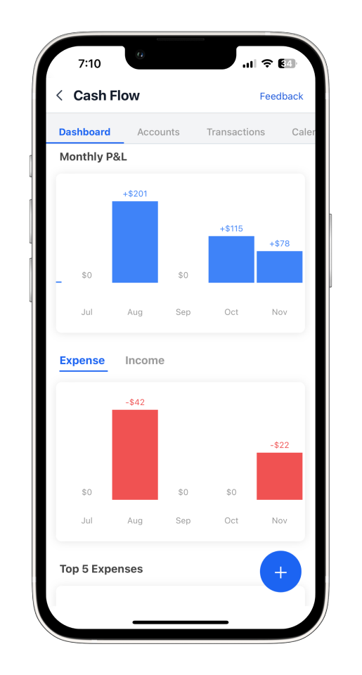 Invoice Mobile App - How to view profit and loss totals - 11